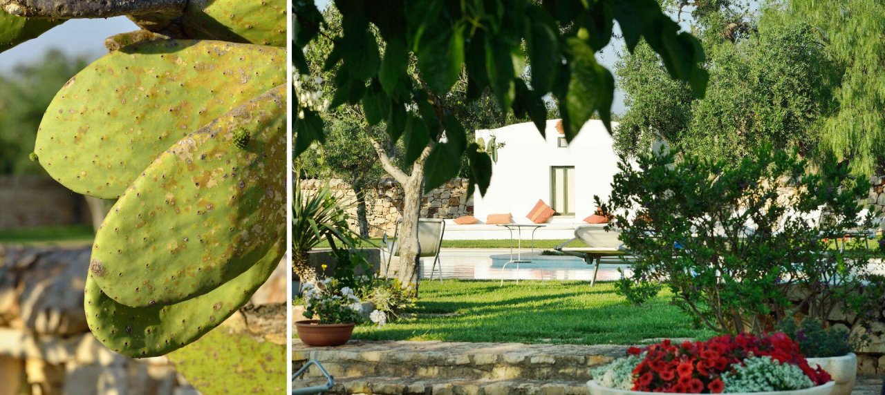 Vendita villa in zona tranquilla San Michele Salentino Puglia foto 18