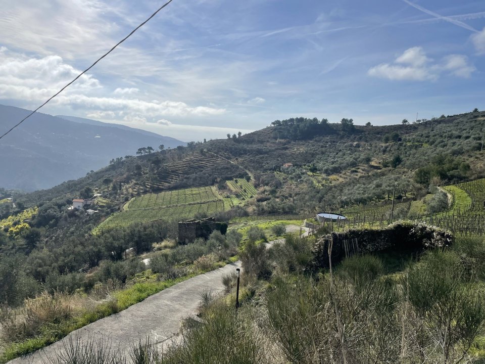 Vendita terreno in zona tranquilla Perinaldo Liguria foto 30