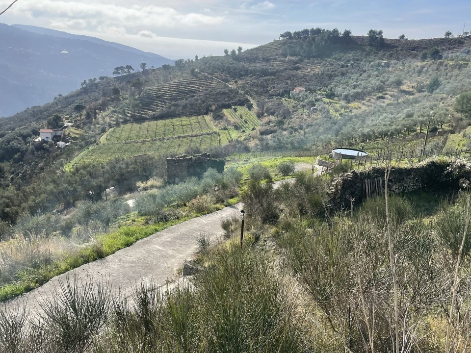 Vendita terreno in zona tranquilla Perinaldo Liguria foto 32