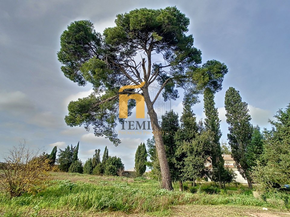 Vendita villa in città Monteroni di Lecce Puglia foto 17